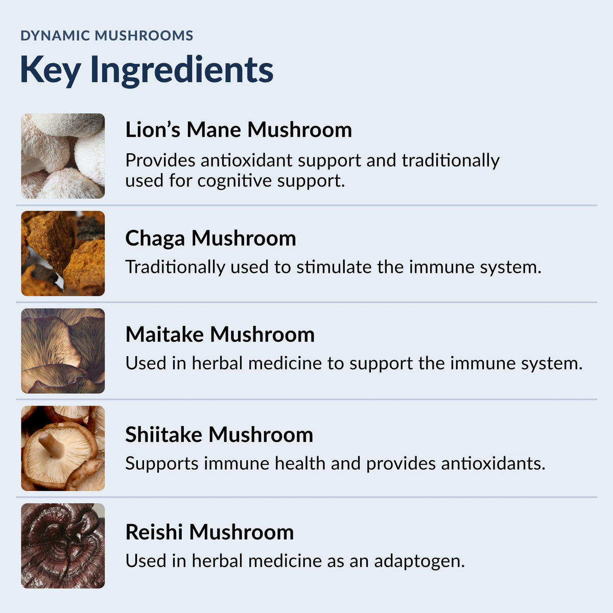 Stonehenge Health Dynamic Mushroom Complex - 60 Veggie Capsules